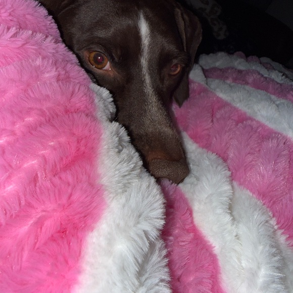 Woman Clothes - Picture 1 of 1